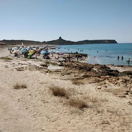 West Sardinia 3 Càbras